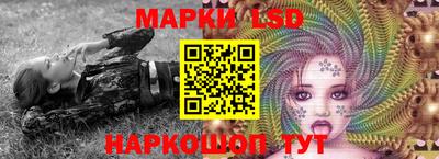 СК Краснознаменск