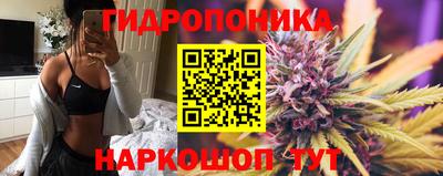 СК Краснознаменск