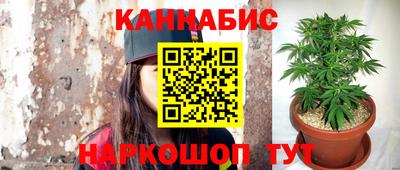 СК Краснознаменск
